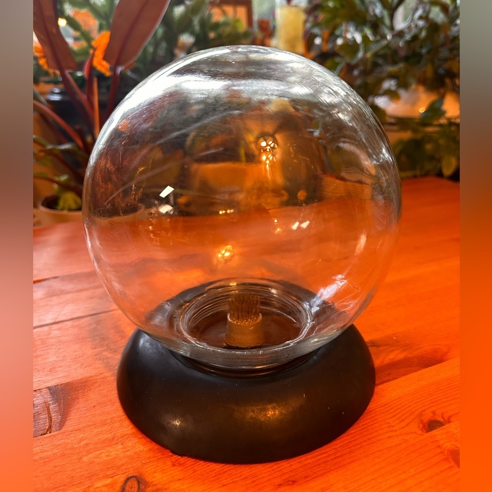 Vintage P. M. Inc. Lewis P Weil Flower Frog Arrangement Glass Globe
